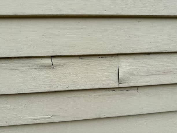 Best Siding Removal and Disposal  in Noroton Heights, CT